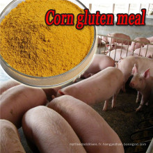 Farine de gluten de maïs jaune 60% d&#39;alimentation de porc